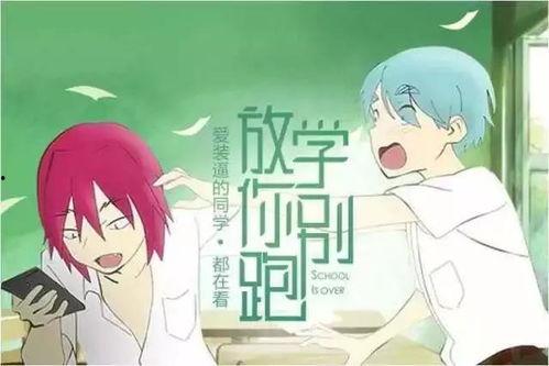 吃瓜听故事视频,一场视觉盛宴的幕后花絮