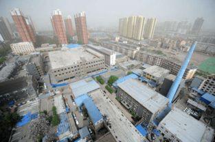 驾校吃瓜视频,揭秘驾校内部趣事与学员真实心声