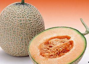 鹅可以吃冻的哈密瓜吗视频,冻哈密瓜的奇妙食用之旅