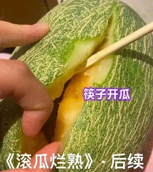 正在吃哈密瓜的视频,一睹哈密瓜美食瞬间
