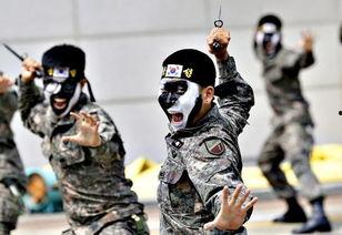 韩国特种兵吃瓜事件视频,真相揭秘与网络热议