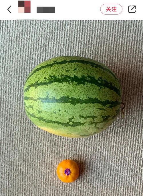 外国人吃绿瓜视频大全,外国人挑战吃绿瓜大赏