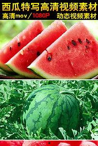 吃瓜摔倒视频素材无水印,一幕无水印摔倒视频引发网友热议