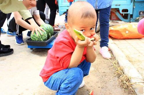 山东吃大瓜视频