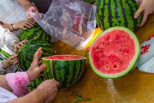 最恶心的吃瓜视频,你敢看吗？