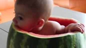 小孩的吃瓜视频,小萌娃吃瓜视频萌翻网友