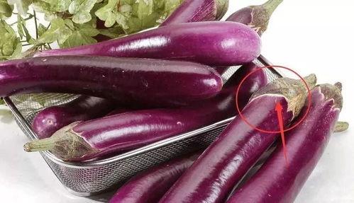 茄子视频吃瓜杨一凡,揭秘娱乐圈幕后故事