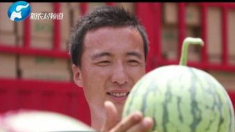 周易安吃瓜视频在线观看,揭秘娱乐圈幕后故事