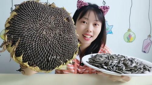 向日葵吃瓜视频,一场视觉盛宴