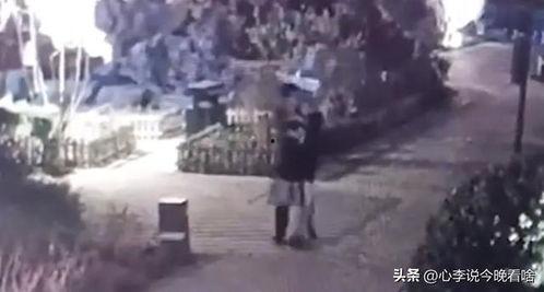 钦州吃瓜事件视频曝光,视频曝光揭示惊人真相