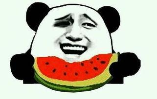 电气鼠视频吃瓜