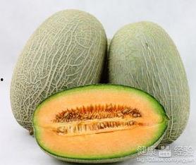 海马吃哈密瓜好吗视频大全,趣味视频大盘点