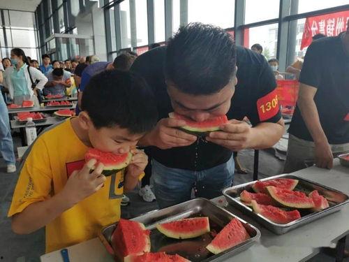 全家 围观 吃瓜视频大全,吃瓜视频大全，揭秘娱乐圈幕后故事