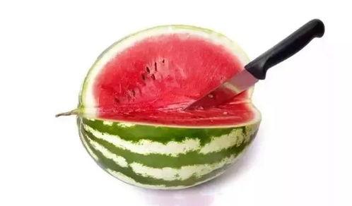 顶级吃瓜群众视频下载,视频下载攻略大揭秘