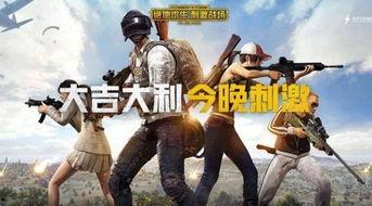 吃鸡三兄弟呆瓜视频大全,吃鸡视频大全欢乐集锦