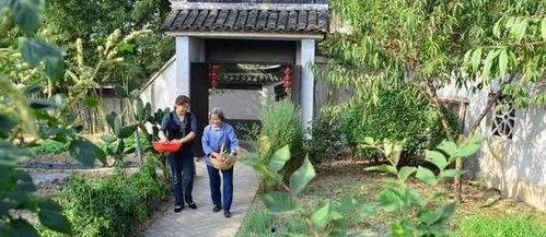 邹城孟子湖吃瓜事件视频,一场网络热议背后的真相