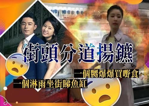 吃瓜看吵架的视频bgm
