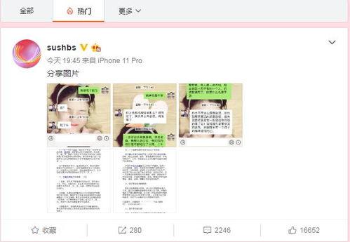 河北最新吃瓜新闻视频下载