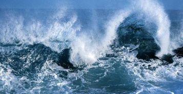 海浪吃瓜视频大全