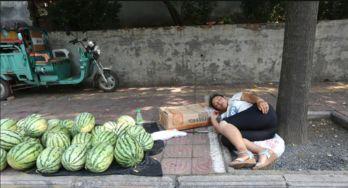 砀山县吃瓜事件视频播放,视频曝光引发社会热议